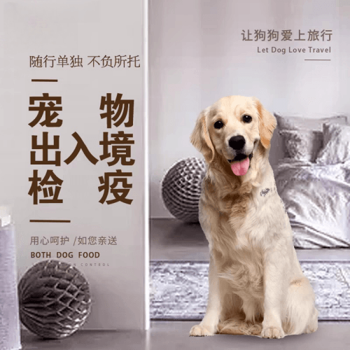 蓟州区宠物托运到哥伦比亚猫狗宠物入境规定和