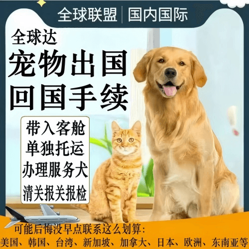 蓟州区宠物托运到柬埔寨宠物入境规定和要求