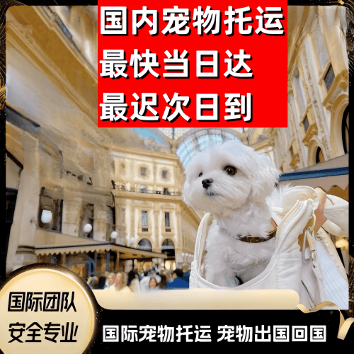 蓟州区到澳大利亚（澳洲）宠物入境规定和要求