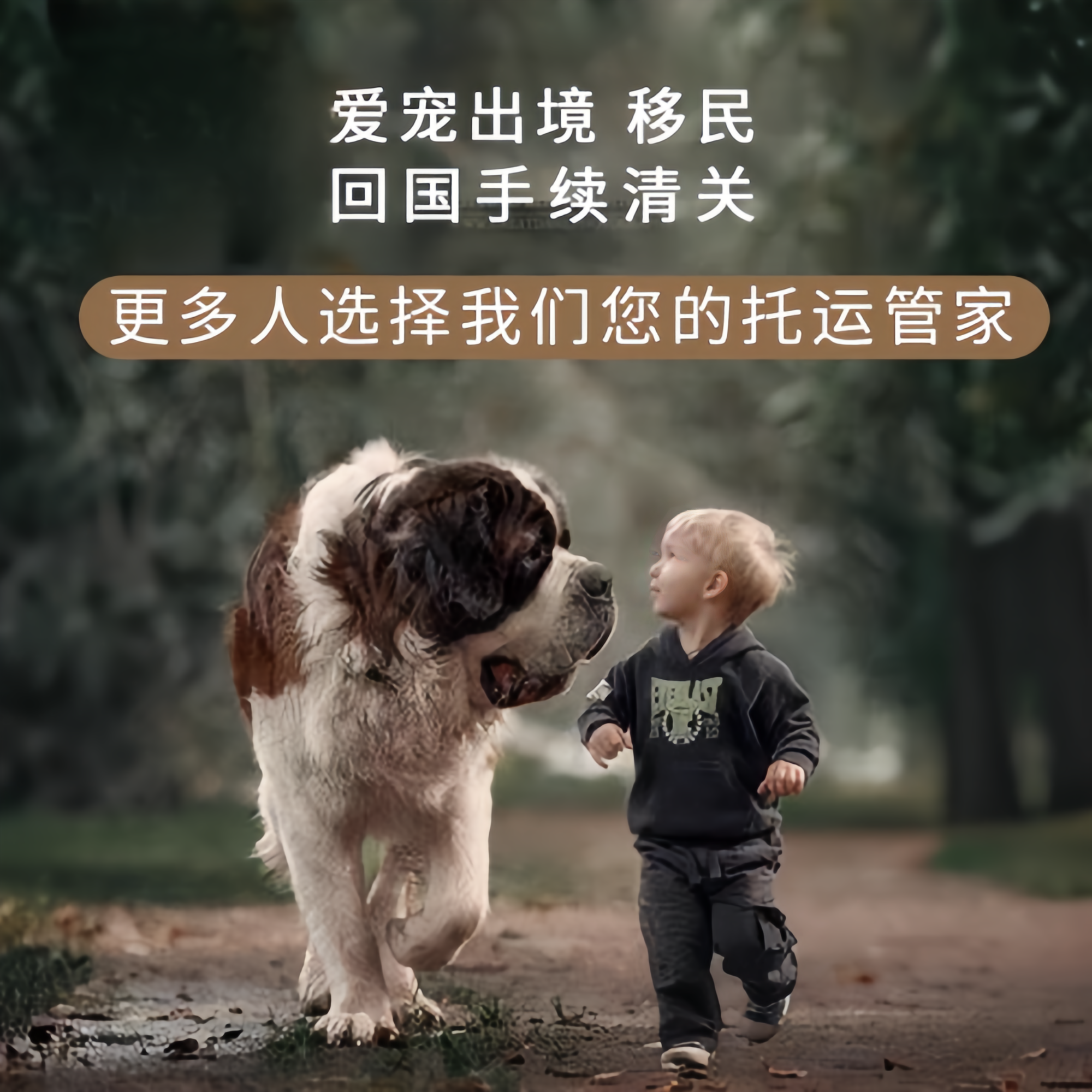 满财蓟州区宠物全球达宠物托运在遵守入境目的地政策的条件