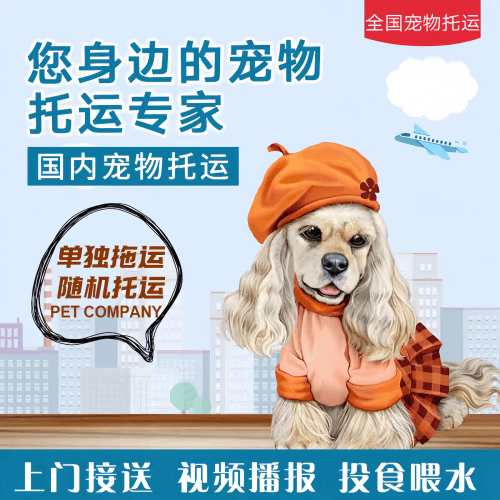 满财蓟州区宠物全球达宠物托运作为专业的宠物运输代理机构